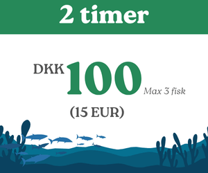 Børne fiskekort 2 timer