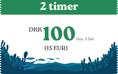 Børne fiskekort 2 timer