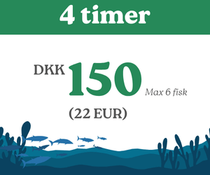 Børne fiskekort 4 timer