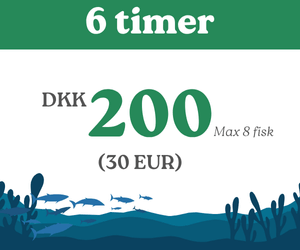 Børne fiskekort 6 timer