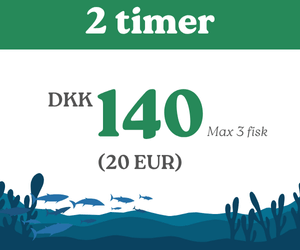 Fiskekort hedensted put & take 2 timer