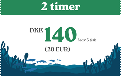 Fiskekort hedensted put & take 2 timer