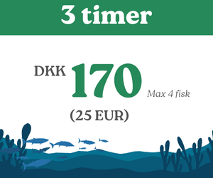 Fiskekort hedensted put & take 3 timer