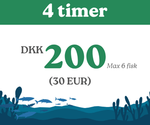 Fiskekort hedensted put & take 4 timer