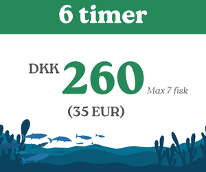 Fiskekort hedensted put & take 6 timer