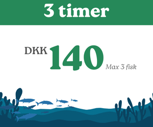 3 timers kort - Pensionist tilbud