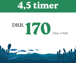 4,5 timers kort - Pensionist tilbud