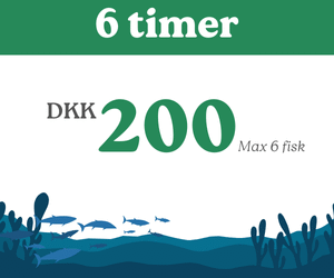 6 timers kort - Pensionist tilbud