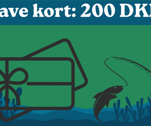 Fiske gavekort: 200 kr.