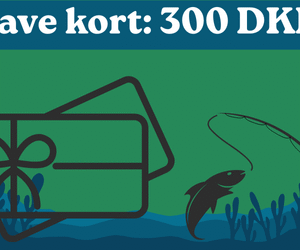 Fiske gavekort: 300 kr.